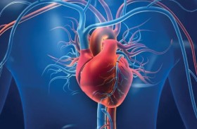 دراسة: الهجرة قد تزيد خطر الإصابة بأمراض القلب