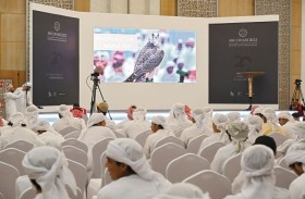 صقارو العالم يجتمعون في أبوظبي بمزاد جديد للصقور