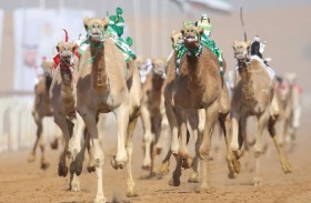 اكتمال التحضيرات لانطلاق مهرجان محمد بن زايد آل نهيان لسباقات الهجن ومزاينة الإبل «اللبسة 2021»