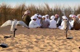 نادي صقاري الإمارات يستعد لعامه العشرين بمزيد من الإنجازات في صون التراث والصيّد المُستدام 
