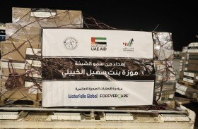 إرسال أدوية عاجلة إلى قطاع غزة ضمن عملية «الفارس الشهم 3»