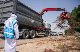 بلدية أبوظبي تكثف التوعية بالتخلص السليم من المخلفات والنفايات الزراعية لحماية المظهر الحضاري