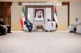 طحنون بن زايد يستقبل أمين المجلس الأعلى للأمن القومي في إيران