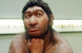 انقراض إنسان نياندرتال يعود إلى 24 ألف عام