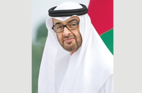رئيس الدولة يصدر قراراً بتعيين وكيل لدائرة المالية