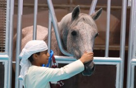 معرض أبوظبي الدولي للصيد بدورته الـ21 يحتفي برياضة الفروسية و تراث الإمارات الثقافي