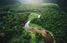كولومبيا تقترح إنشاء صندوق دولي لمساعدة الفلاحين على حماية الأمازون 