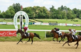 «خطر» و «أغيداري» يتوّجان بسباقي الوثبة للخيول العربية في فرنسا