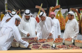 منافسات قوية في مزاينة الفرض بـ(ليوا للرطب) وتتويج الفائزين