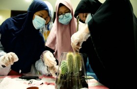 الجامعه القاسمية تكسب طالباتها مهارات عمل الحديقة الزجاجية في معسكرها نحو التغيير الايجابي 