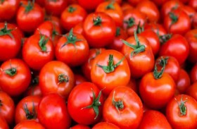 «سر» في الطماطم يقلل خطر الإصابة بارتفاع ضغط الدم