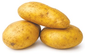 البطاطا 