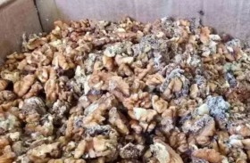 ضبط أطنان من الجوز الفاسد بمحل شهير