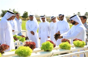 بلدية مدينة العين تنظم فعاليات الاستدامة بالحدائق في 8 منتزهات