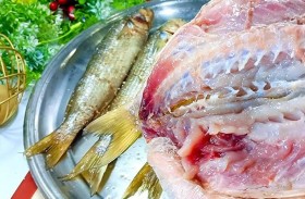 من عصر الفراعنة.. سر هوس المصريين بالفسيخ 