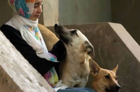 مصر.. انتشار الكلاب الخطرة يثير جدلا 