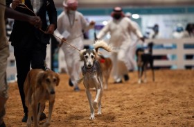 مُسابقات وفعاليات فريدة من نوعها للجَمال بانتظار جمهور معرض أبوظبي للصيد 