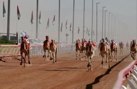 الرياضات التراثية ركيزة أساسية في ترسيخ الهوية الوطنية