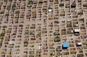 البرازيل تسجل 3,650 وفاة في يوم واحد بسبب كورونا 