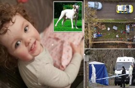 كلب أليف يقتل طفلة في الرابعة