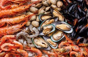 لمحبي المأكولات البحرية.. تقرير يحذر من العواقب البيئية
