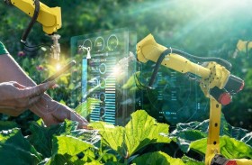 استخدام قوة الذكاء الاصطناعي للتنبؤ بالمحاصيل وتقليل الهدر
