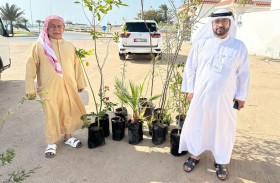 التواجد البلدي يوزع نباتات البيئة المحلية على المجتمع 