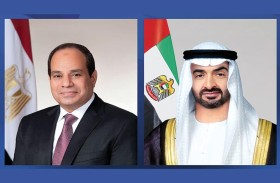رئيس الدولة والرئيس المصري يؤكدان حرصهما على مواصلة التشاور بشأن مختلف القضايا 