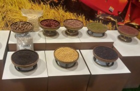 حراس معبد انغكوروات الكبير يرحبون بزوار جناح كمبوديا في أكسبو 2020 