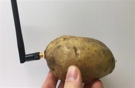 أداة تُحول البطاطس إلى مساعد ذكي 