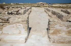 جزيرة السينية ..  ثراء تاريخي يكشف عراقة المنطقة وتأثيرها الإنساني