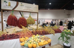 مهرجان الذيد للرطب ينطلق اليوم بمشاركة المئات من مزارعي النخيل على مستوى الدولة