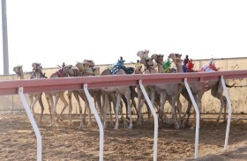 «الشبابي» يحصد أفضل توقيت في منافسات «سن الفطامين» بميدان الذيد