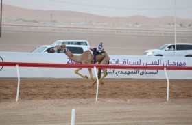 السباق التمهيدي الثالث في مهرجان العين للهجن ينطلق 11 سبتمبر
