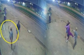 عقاب قاسٍ من امرأة لرجل ركل قطة