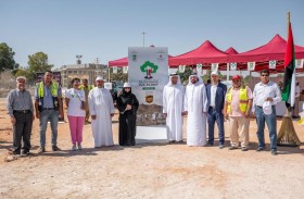 بلدية مدينة أبوظبي تزرع مئات الأشجار على طريق أبوظبي-دبي من السوق الأبيض وحتى جسر العجبان