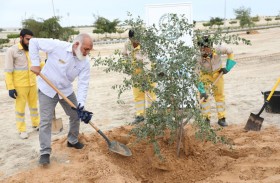 بلدية الحمرية تطلق مشروعها «نزرع للمستقبل» بمواصلة التعاون مع المؤسسات والمدارس في نشر زراعة الأشجار والشتلات 