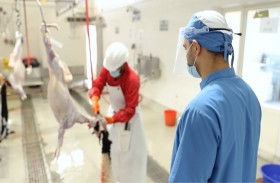 اكتمال استعدادات مسالخ منطقة الظفرة لشهر رمضان 