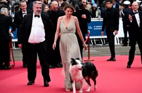 الكلب «ميسي» مفاجأة افتتاح مهرجان «كان» السينمائي 