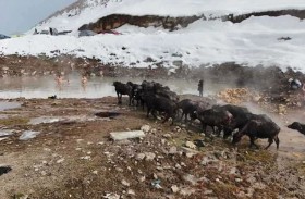 نبع مياه ساخنة.. ملاذ للسكان وسط الثلوج