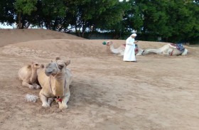 قرية التراث الإماراتي في القرية العالمية بدبي