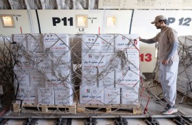 وصول طائرة إماراتية محملة بـ100 طن مساعدات لغزة ضمن «جسر حميد الجوي» وعملية «الفارس الشهم 3»