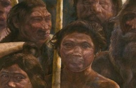 الجنس البشري نشأ في أفريقيا قبل نحو 300 ألف عام