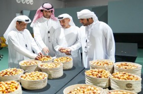 مسابقات مهرجان ليوا للرطب تستقطب 116 ألف زائر و 570 مشاركا