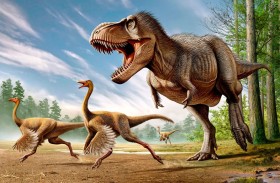 الديناصورات قد تكون المسؤولة  عن تقصير عمر البشر