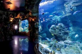 متحف مائي يضم 7000 كائن بحري