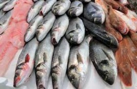 حملة في لبنان لمعرفة مصير شحنة الأسماك الهدية