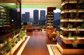 بلدية مدينة أبوظبي تنفذ مشروع الأسطح الخضراء بمبناها الرئيسي في أبوظبي لخلق بيئة عمل صحية