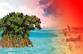 تريندز يصدر دراسة باللغتين: العربية والإنجليزية، تتناول أشجار القرم ودورها في التكيف والتخفيف من آثار التغير المناخي