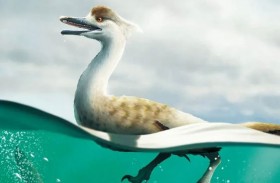 اكتشاف لغز ديناصور مائي شبيه بالبطريق 